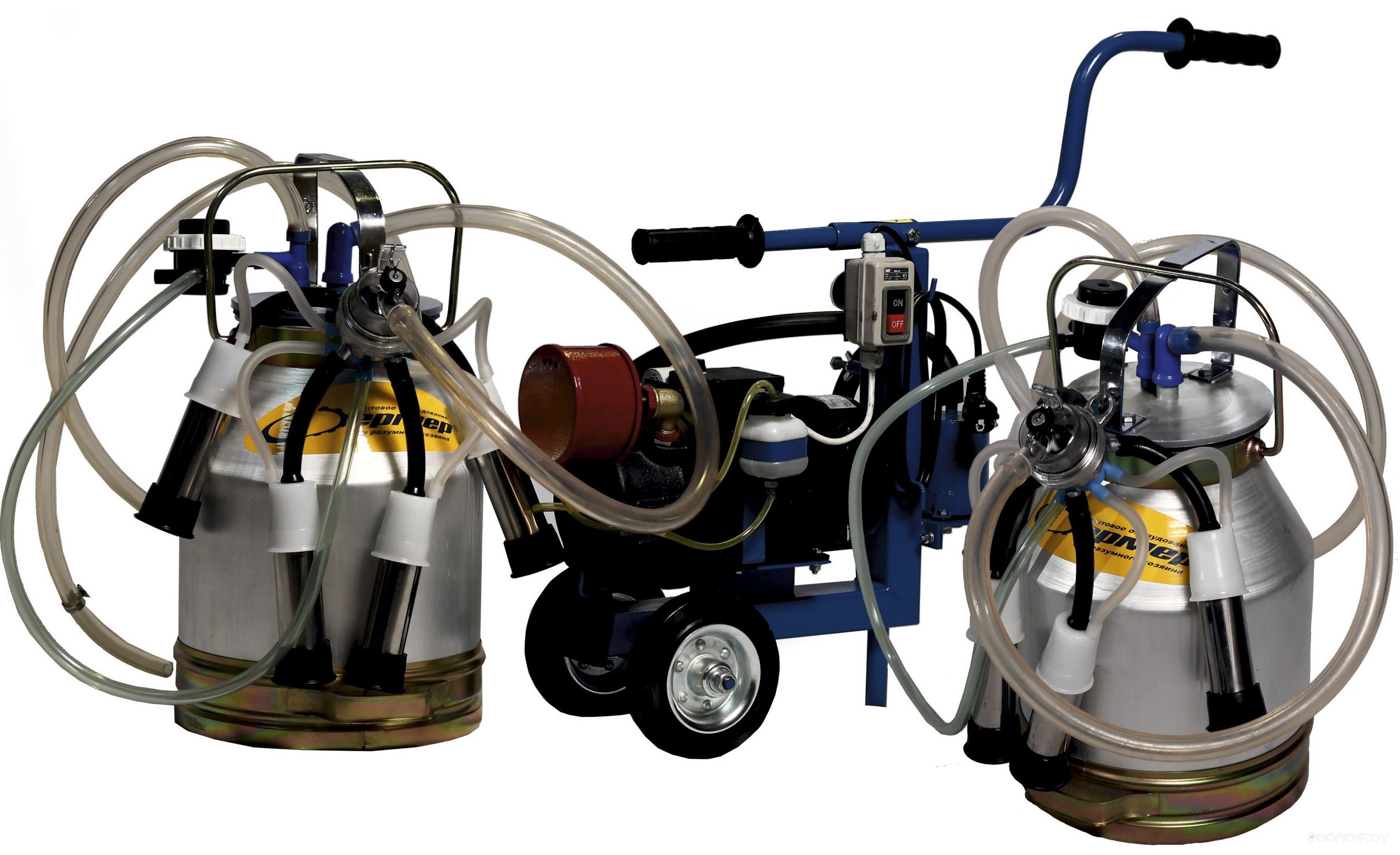 ������� ��������� Zigzag Girl 20 ZG-2036 (�������) �  �������� ������� �������