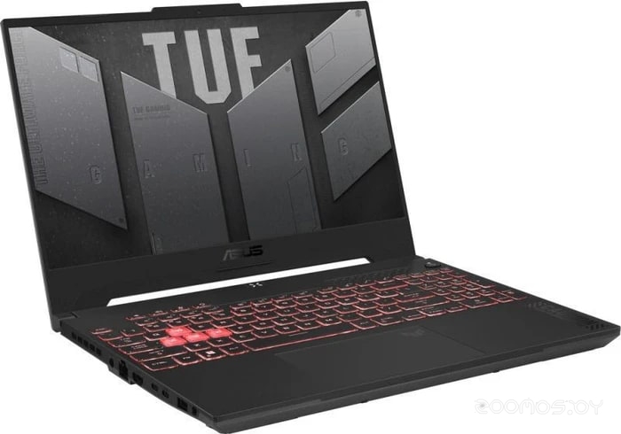 ������� Asus TUF Gaming A15 FA507NVR-LP040 (90NR0JK5-M00230) �  �������� ������� �������
