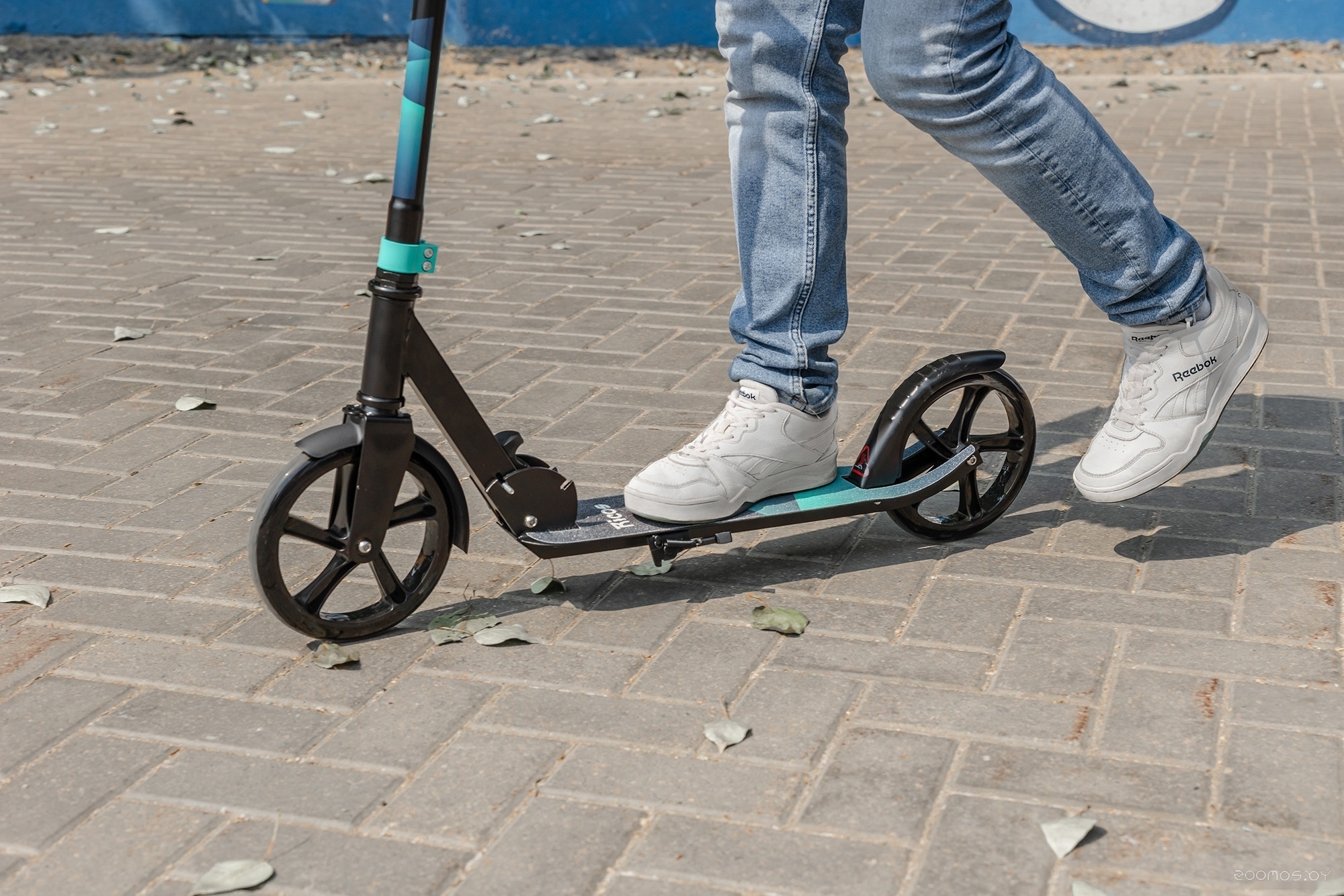 ������������ ������������ ������� Ricos Impulse 200H (����������) �  �������� ������� �������