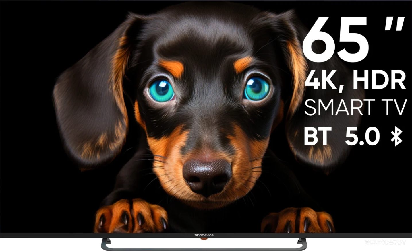��������� TopDevice Ultra Neo TDTV65CS06U_BK �  �������� ������� �������