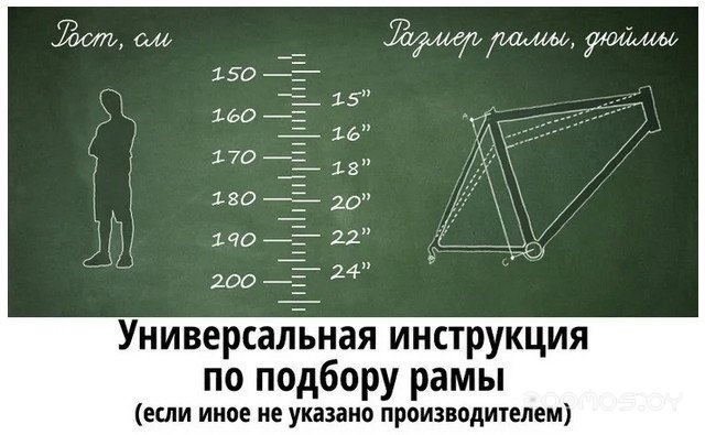 ��������� Stark Peloton 700.1 �.22 2024 (���������/������/�����) �  �������� ������� �������