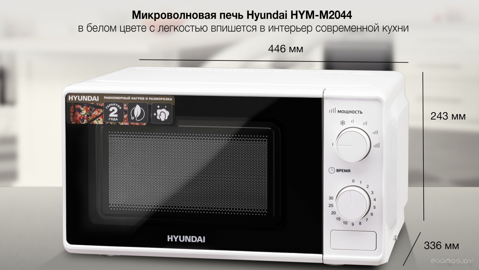 ������������� ���� Hyundai HYM-M2044 �  �������� ������� �������