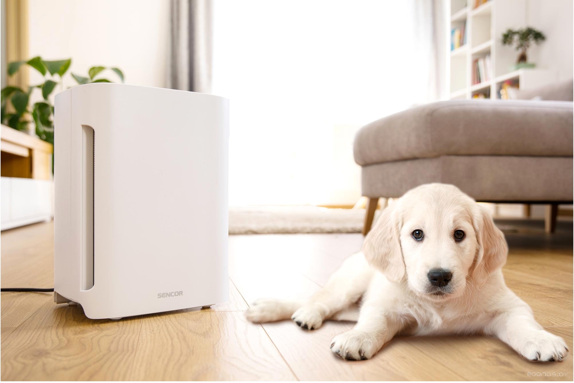 ���������� ������� Sencor SHA 6400WH-EUE3 �  �������� ������� �������