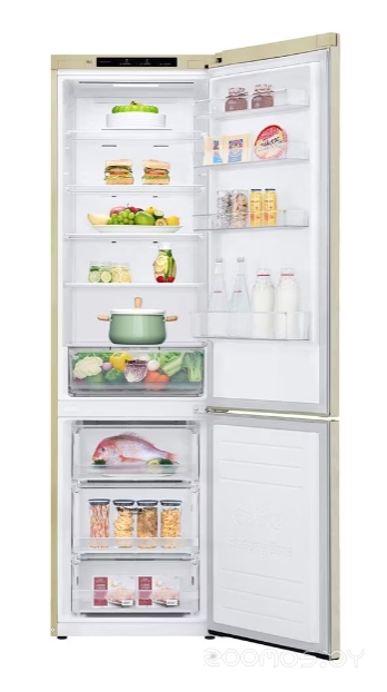 Холодильник LG DoorCooling+ GC-B509SECL в  магазине Терабит Могилев