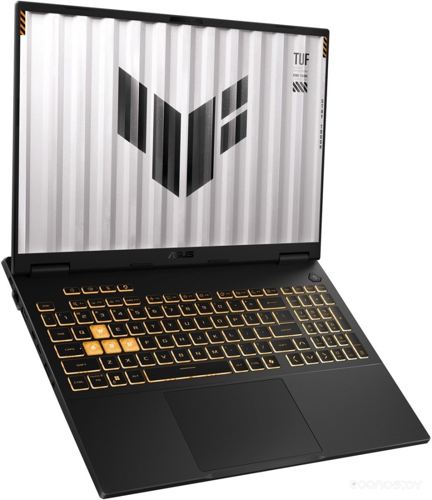 ������� ������� Asus TUF Gaming F16 FX608JH-RV089 �  �������� ������� �������