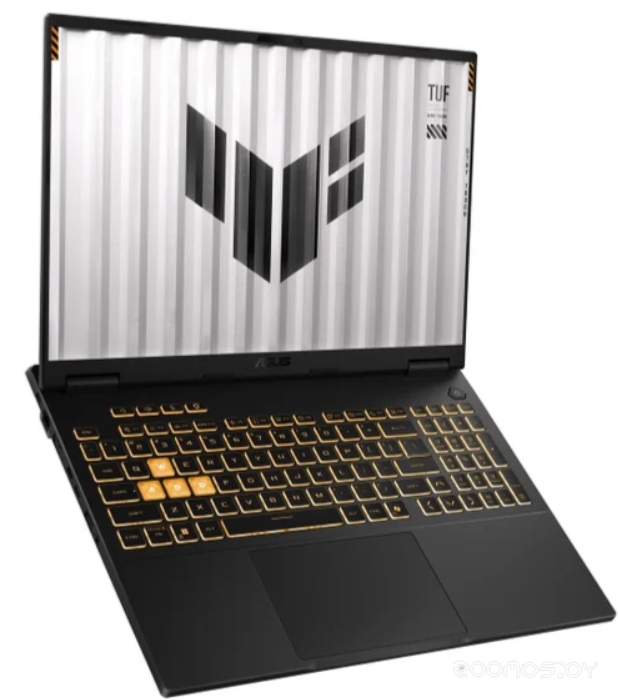 ������� ������� Asus TUF Gaming F16 FX608JPR-RV077 �  �������� ������� �������