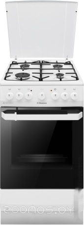 Кухонная плита Hansa FCMW581009 в  магазине Терабит Могилев