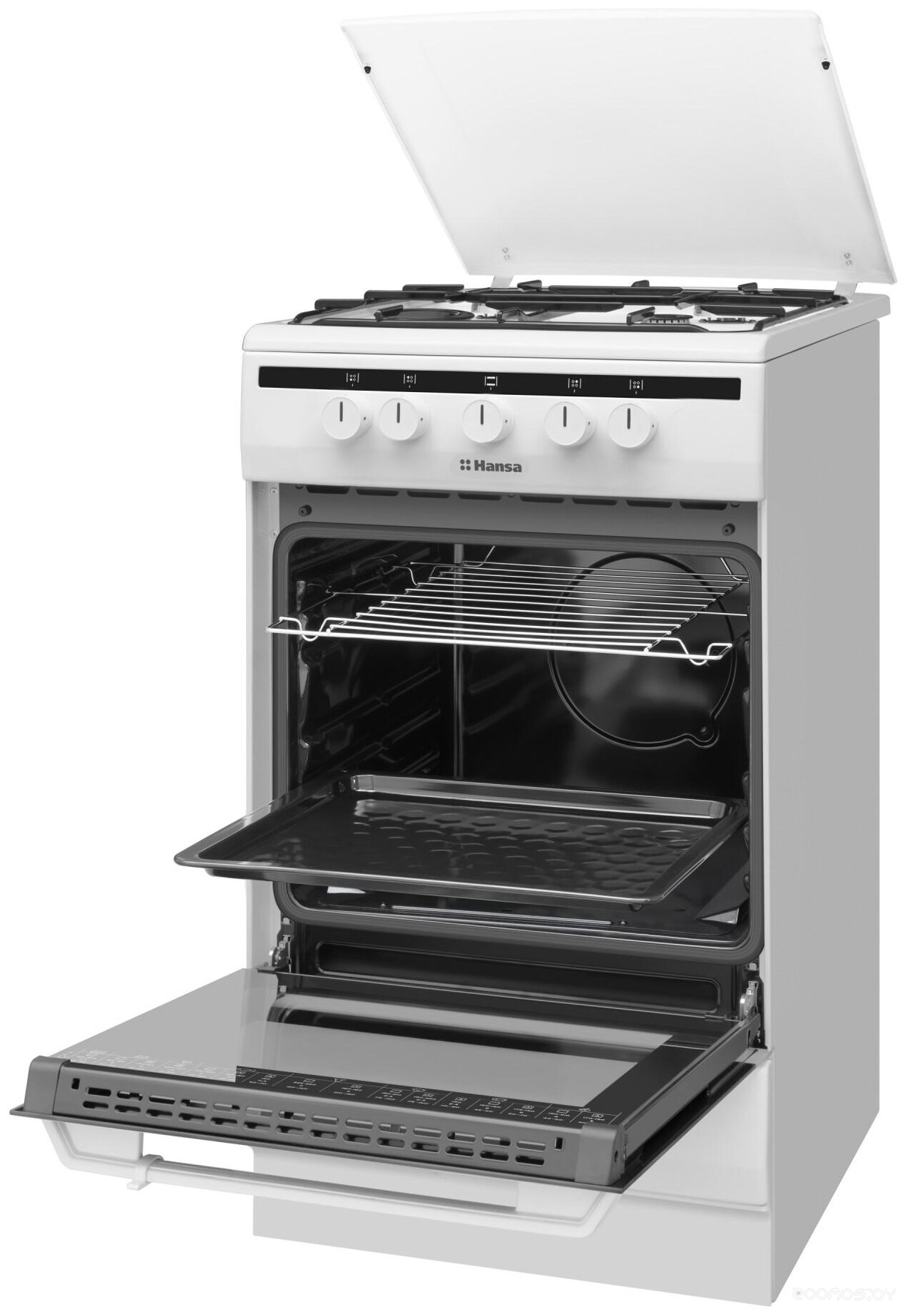 Плита Hansa FCGW510550 в  магазине Терабит Могилев