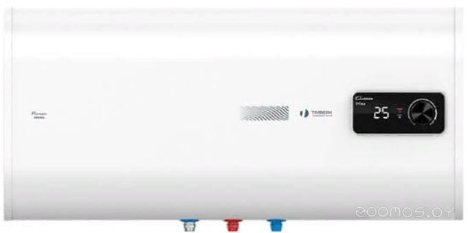 ��������������� Timberk Flumen SWH FSM8 100 H �  �������� ������� �������