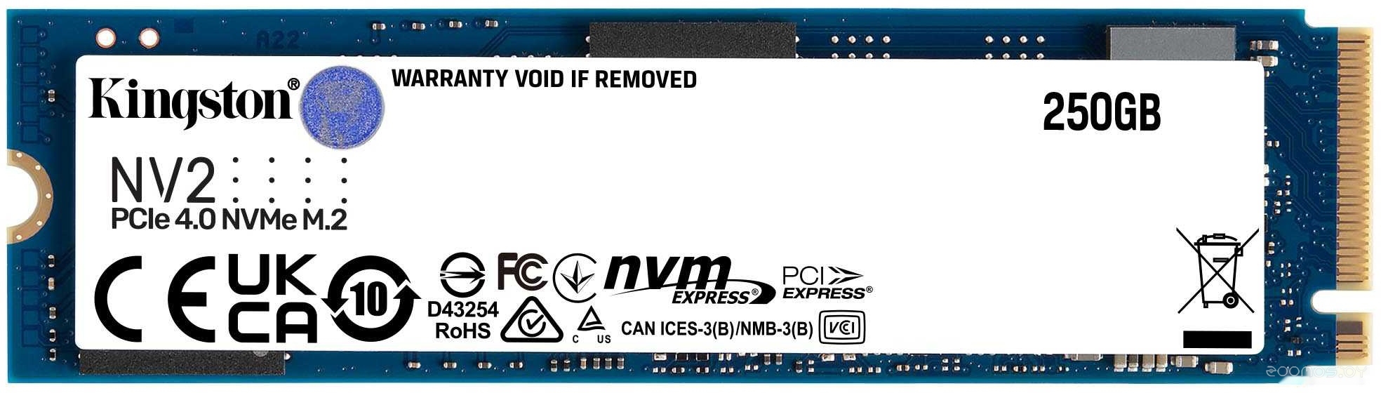SSD Kingston SNV2S 250GB SNV2S/250G в  магазине Терабит Могилев