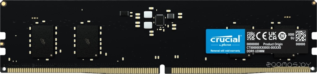 Оперативная память Crucial CT16G48C40U5 в  магазине Терабит Могилев