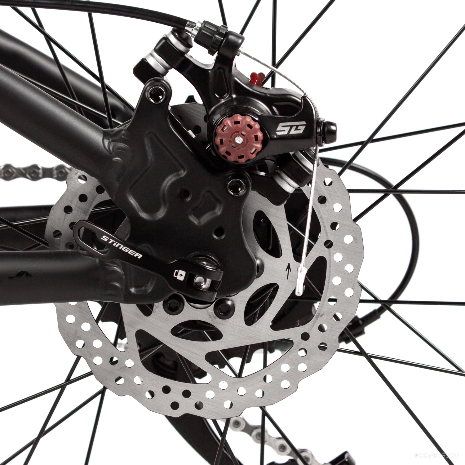 ��������� Stinger Element Jr 24 (������) �  �������� ������� �������