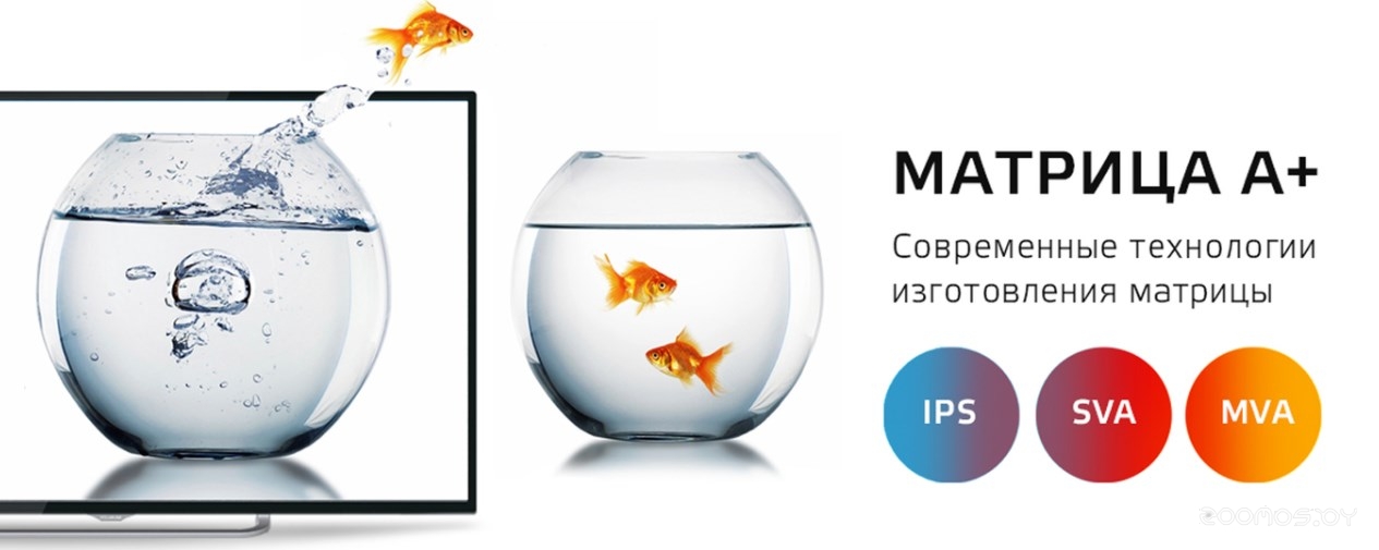 ��������� POLAR Line 32PL12TC �  �������� ������� �������