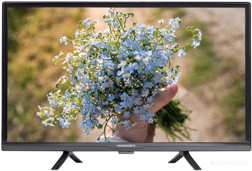 Телевизор Horizont 24LE7011D в  магазине Терабит Могилев