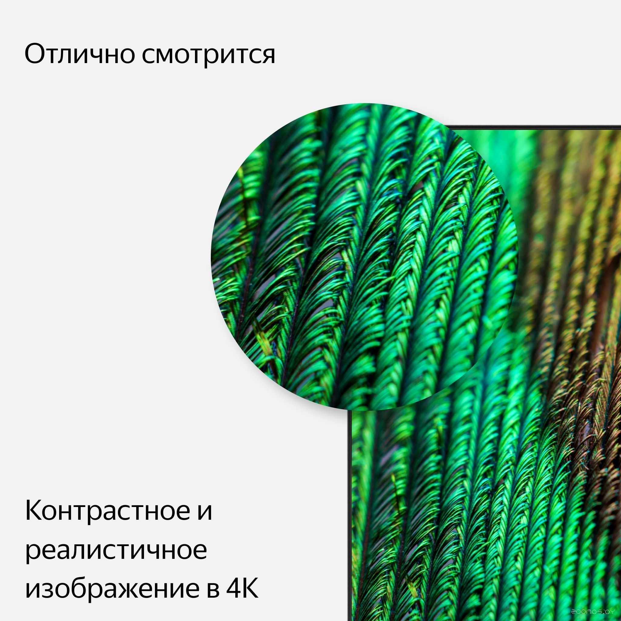 Телевизор Яндекс с Алисой 55 в  магазине Терабит Могилев