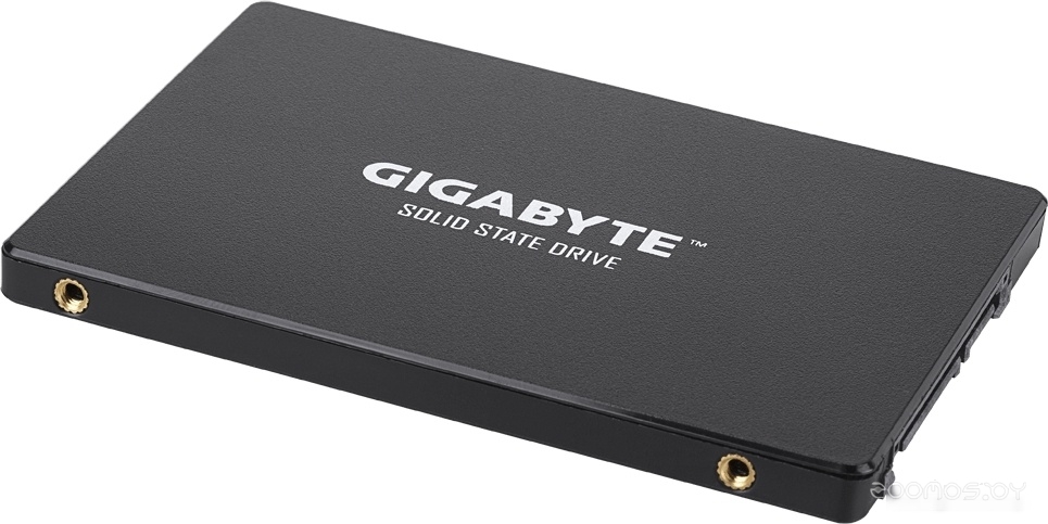 SSD Gigabyte 256GB GP-GSTFS31256GTND     