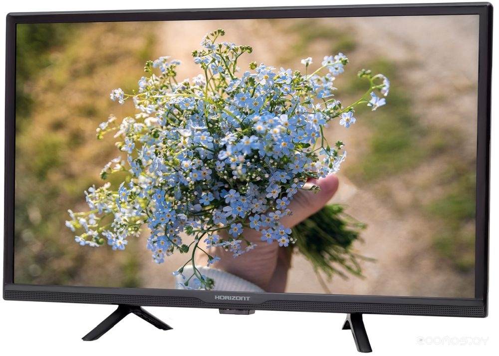 Телевизор Horizont 24LE7011D в  магазине Терабит Могилев