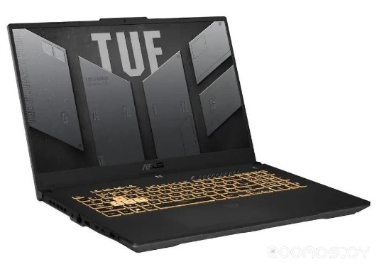 ������� ������� Asus TUF Gaming F17 FX707VU-HX239 �  �������� ������� �������